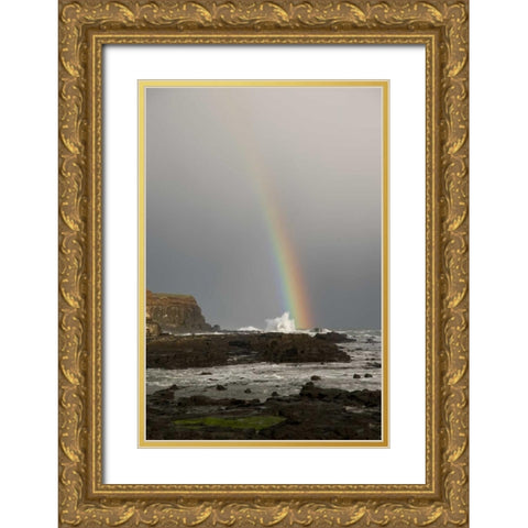 New Zealand, South Island Rainbow over Curio Bay Gold Ornate Wood Framed Art Print with Double Matting by Grall, Don