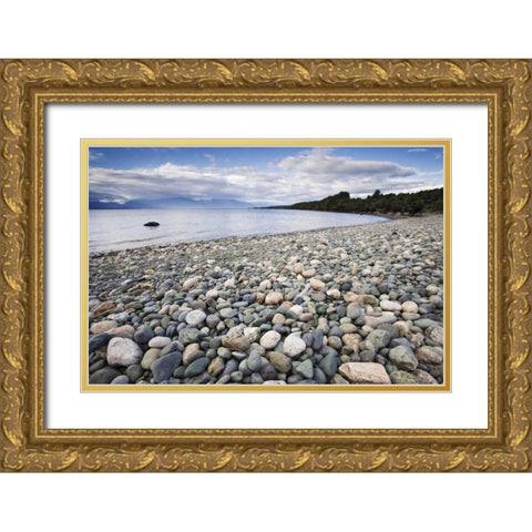 New Zealand, South Island Lake TeAnua Gold Ornate Wood Framed Art Print with Double Matting by Flaherty, Dennis