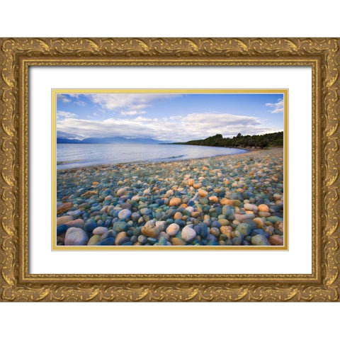 South Island Rocky shore of Lake Te Anau Gold Ornate Wood Framed Art Print with Double Matting by Jaynes Gallery