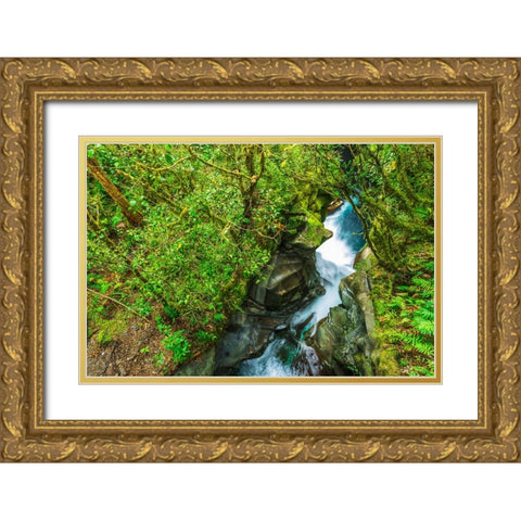 The Chasm-Fiordland National Park-South Island-New Zealand Gold Ornate Wood Framed Art Print with Double Matting by Bishop, Russ