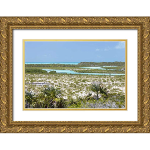 Bahamas, Exuma Island Shroud Cay scenic Gold Ornate Wood Framed Art Print with Double Matting by Paulson, Don
