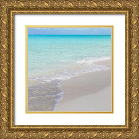 Bahamas, Little Exuma Island Ocean and beach Gold Ornate Wood Framed Art Print with Double Matting by Paulson, Don