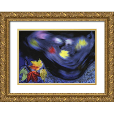 Canada, Quebec Autumn leaves swirl in a creek Gold Ornate Wood Framed Art Print with Double Matting by Delisle, Gilles