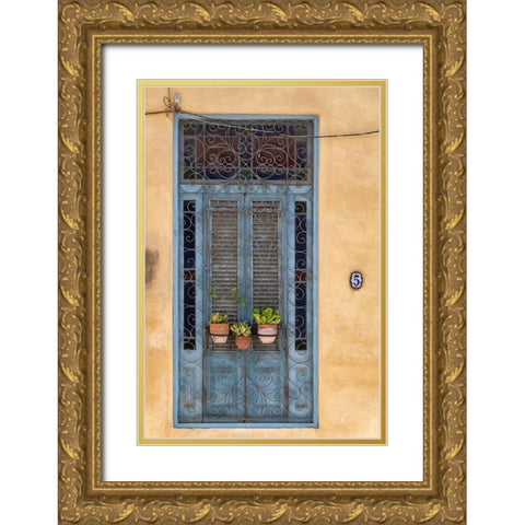 Flower pots sit in wrought iron gate in front of blue door in Old Havana; La Habana Vieja-Cuba Gold Ornate Wood Framed Art Print with Double Matting by Miglavs, Janis