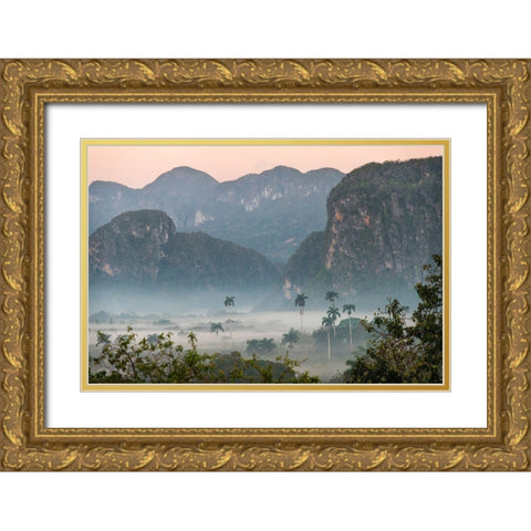 Morning fog rises from the palm tree lined Vinales Valley-Cuba Gold Ornate Wood Framed Art Print with Double Matting by Miglavs, Janis