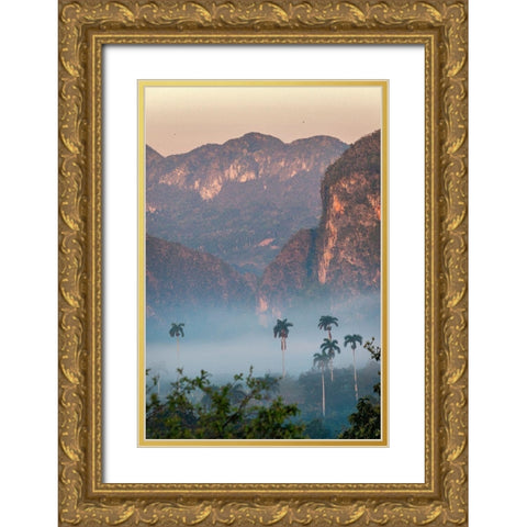 Morning fog rises from the palm tree lined Vinales Valley-Cuba Gold Ornate Wood Framed Art Print with Double Matting by Miglavs, Janis