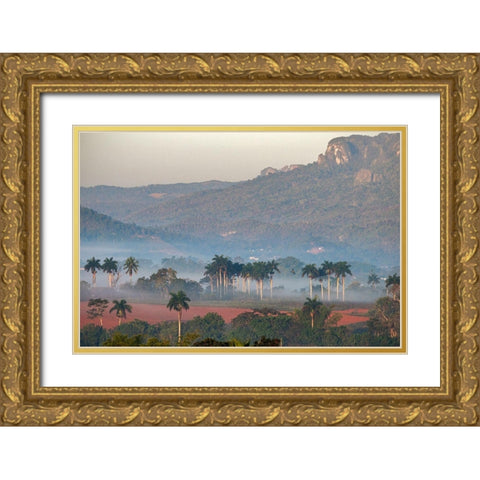 Morning fog rises from the palm tree lined Vinales Valley-Cuba Gold Ornate Wood Framed Art Print with Double Matting by Miglavs, Janis