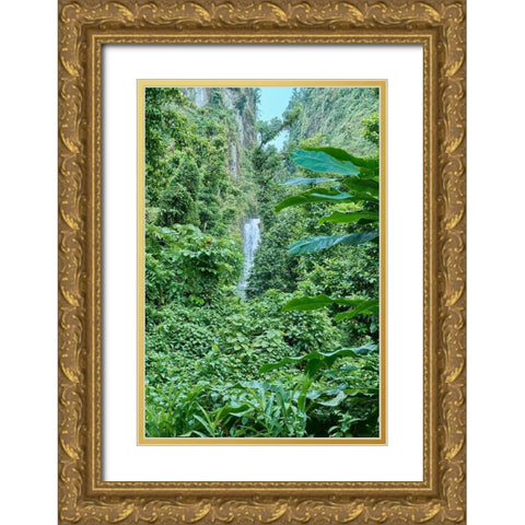 Caribbean-West Indies-Dominica Island One of Dominicas most popular natural attractions Gold Ornate Wood Framed Art Print with Double Matting by Buhl, Karl