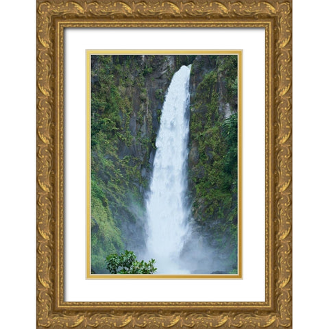 Caribbean-West Indies-Dominica Island One of Dominicas most popular natural attractions Gold Ornate Wood Framed Art Print with Double Matting by Buhl, Karl