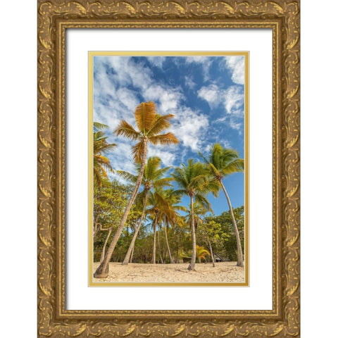 Caribbean-Grenada-Mayreau Island Beach and palm trees Gold Ornate Wood Framed Art Print with Double Matting by Jaynes Gallery