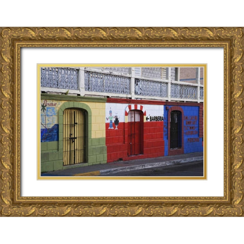 Puerto Rico, Isabela Segunda Town shop fronts Gold Ornate Wood Framed Art Print with Double Matting by Flaherty, Dennis