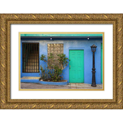 Puerto Rico Building exterior in Isabel Segunda Gold Ornate Wood Framed Art Print with Double Matting by Flaherty, Dennis