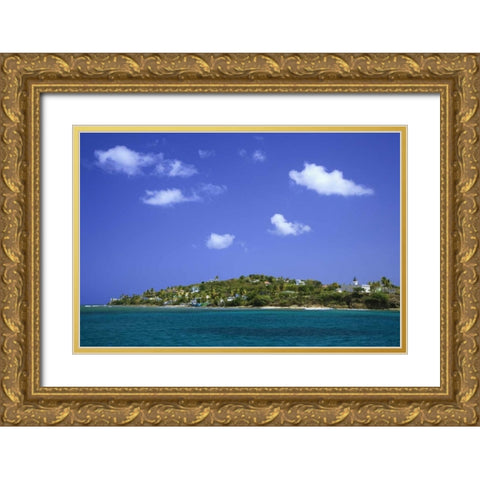 Puerto Rico, Viegues Isl Bay at Isabel Segunda Gold Ornate Wood Framed Art Print with Double Matting by Flaherty, Dennis