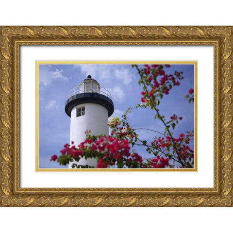 Puerto Rico, Viegues Island Coastal lighthouse Gold Ornate Wood Framed Art Print with Double Matting by Flaherty, Dennis