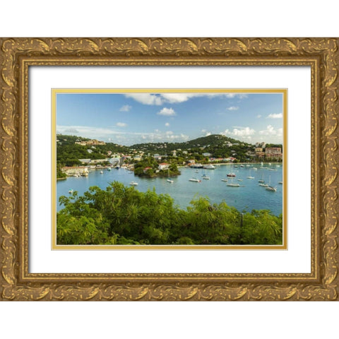 Caribbean, USA Virgin Islands, St John Cruz Bay Gold Ornate Wood Framed Art Print with Double Matting by Illg, Cathy and Gordon