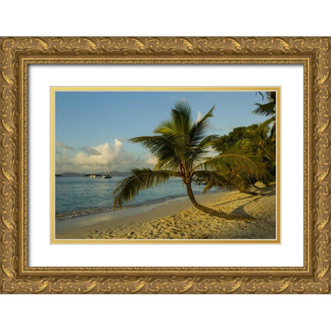 Caribbean, USA Virgin Islands Beach scenic Gold Ornate Wood Framed Art Print with Double Matting by Illg, Cathy and Gordon