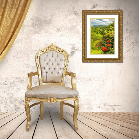 Caribbean-Trinidad Tropical jungle landscape with flowers  Gold Ornate Wood Framed Art Print with Double Matting by Jaynes Gallery