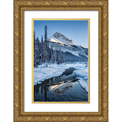 Canada-Alberta-Jasper National Park-Tangle Peak reflected in Beauty Creek Gold Ornate Wood Framed Art Print with Double Matting by Collins, Ann