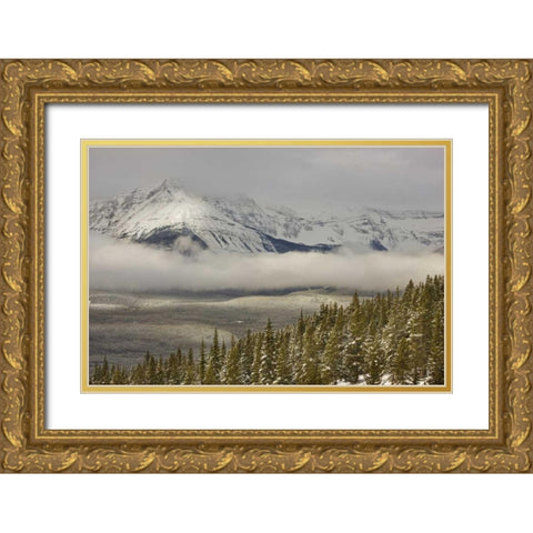 Canada, Banff NP A low cloud bank in the valley Gold Ornate Wood Framed Art Print with Double Matting by Grall, Don