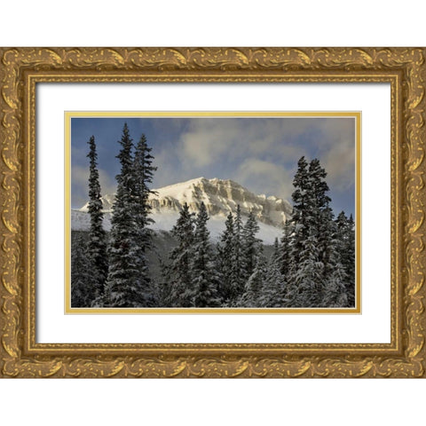 Canada, Banff NP Bow Peak after a snowstorm Gold Ornate Wood Framed Art Print with Double Matting by Grall, Don