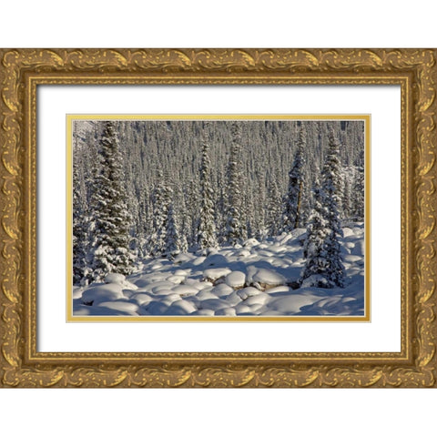 Canada, Alberta, Jasper NP Snowy rocks and trees Gold Ornate Wood Framed Art Print with Double Matting by Grall, Don