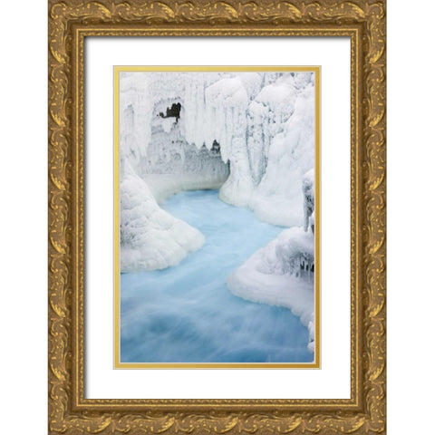 Canada, Jasper NP Athabasca River through ice Gold Ornate Wood Framed Art Print with Double Matting by Grall, Don