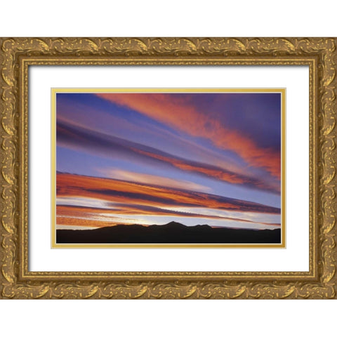 Canada, Alberta, Burmis Sunset over the Rockies Gold Ornate Wood Framed Art Print with Double Matting by Grandmaison, Mike