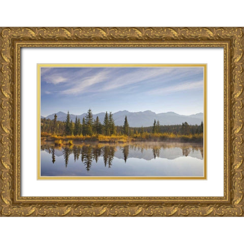 Canada, Alberta, Jasper NP Cottonwood Slough Gold Ornate Wood Framed Art Print with Double Matting by Paulson, Don