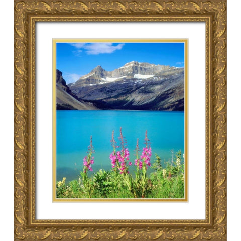 Canada, Alberta, Fireweed Wildflowers in Banff NP Gold Ornate Wood Framed Art Print with Double Matting by Talbot Frank, Christopher