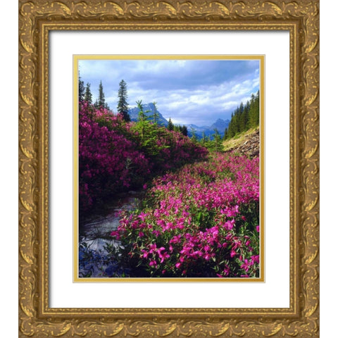 Wildflowers in Banff NP Alberta, Canada Gold Ornate Wood Framed Art Print with Double Matting by Talbot Frank, Christopher
