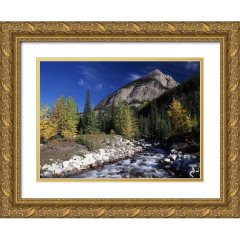 Canada, Alberta, Rampart Creek at Banff NP Gold Ornate Wood Framed Art Print with Double Matting by Grandmaison, Mike