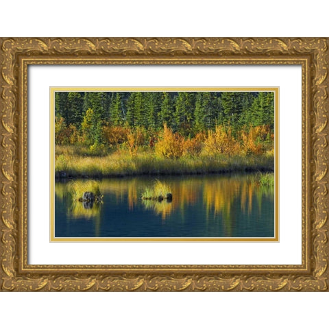 Canada, Banff NP Vermillion Lake in fall Gold Ornate Wood Framed Art Print with Double Matting by Grandmaison, Mike