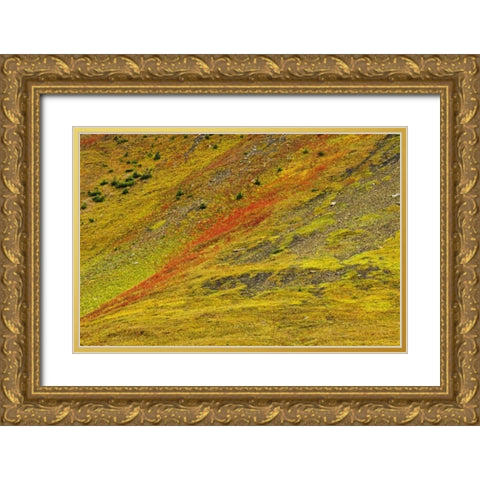 Canada, Alberta Autumn in the Canadian Rocky Mts Gold Ornate Wood Framed Art Print with Double Matting by Grandmaison, Mike