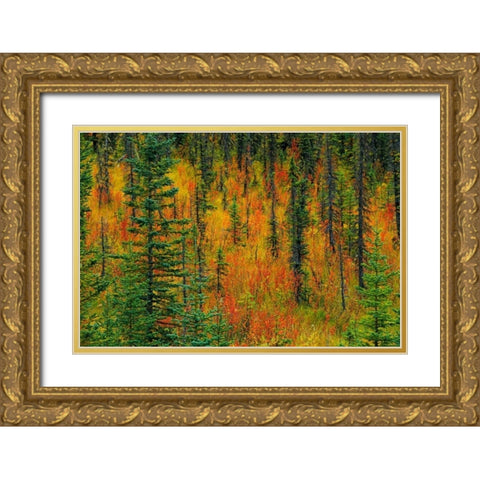 Canada, Alberta Autumn in a meadow Gold Ornate Wood Framed Art Print with Double Matting by Grandmaison, Mike