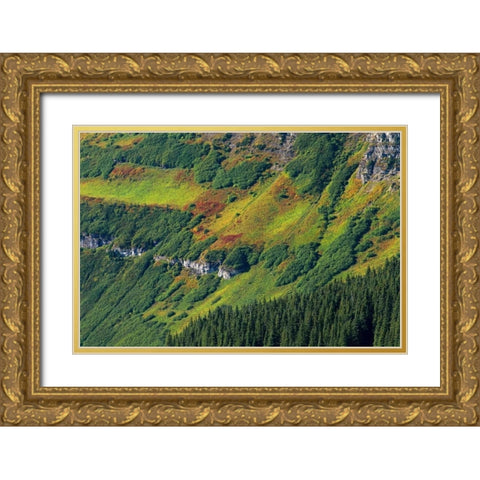 Canada, Waterton Lakes NP Alpine vegetation Gold Ornate Wood Framed Art Print with Double Matting by Grandmaison, Mike