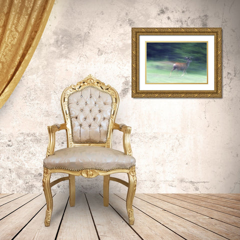 Canada, Alberta, Jasper NP Mule deer running Gold Ornate Wood Framed Art Print with Double Matting by Delisle, Gilles