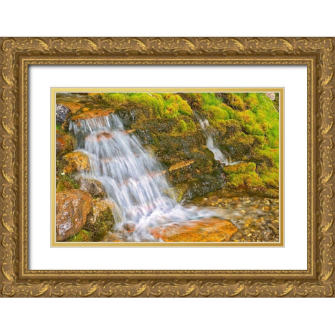 Canada-Alberta-Banff National Park Creek and waterfall scenic Gold Ornate Wood Framed Art Print with Double Matting by Jaynes Gallery