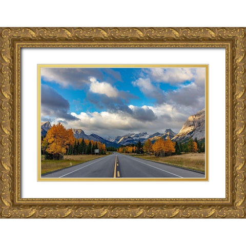Morning light on Highway 40 in Kananaskis Country-Alberta-Canada Gold Ornate Wood Framed Art Print with Double Matting by Haney, Chuck