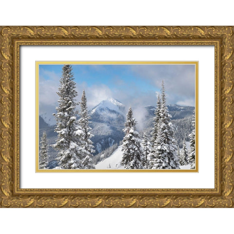 North Cascades in fresh winter snow Manning Provincial Park-British Columbia Gold Ornate Wood Framed Art Print with Double Matting by Majchrowicz, Alan