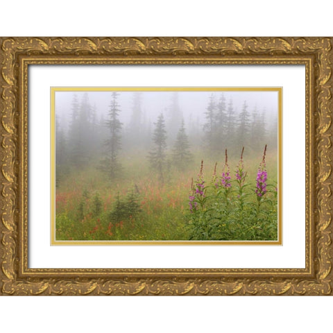 Canada, BC, Revelstoke NP Misty meadow scenic Gold Ornate Wood Framed Art Print with Double Matting by Paulson, Don