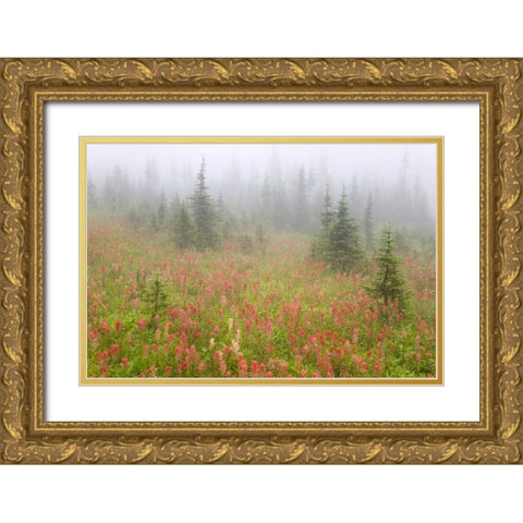Canada, BC, Revelstoke NP Misty meadow scenic Gold Ornate Wood Framed Art Print with Double Matting by Paulson, Don