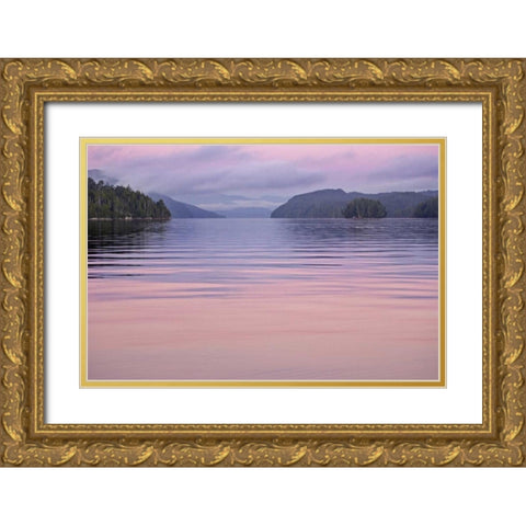 Canada, BC, Calvert Island Sunset reflections Gold Ornate Wood Framed Art Print with Double Matting by Paulson, Don