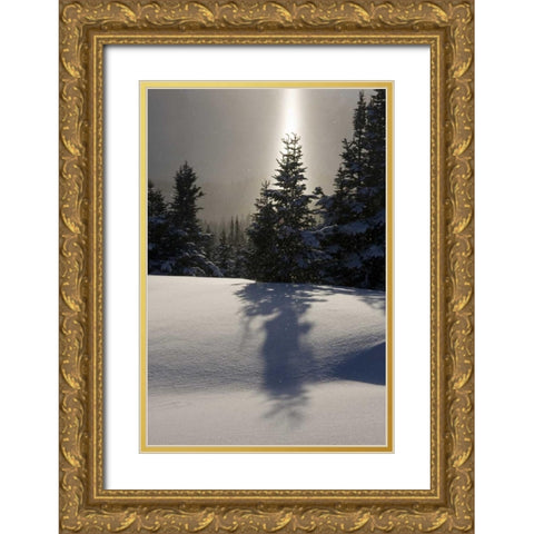 Canada, BC, Smithers Winter snow landscape Gold Ornate Wood Framed Art Print with Double Matting by Young, Bill
