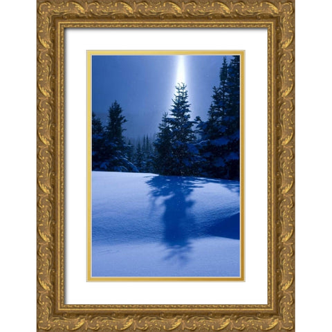 Canada, BC, Smithers Winter snow landscape Gold Ornate Wood Framed Art Print with Double Matting by Young, Bill