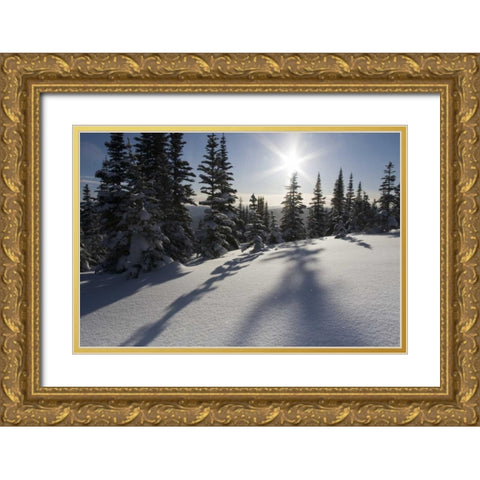 Canada, BC, Smithers Snow-laden spruce trees Gold Ornate Wood Framed Art Print with Double Matting by Young, Bill