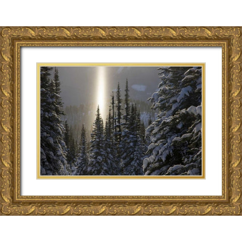 Canada, BC, Smithers Winter snow landscape Gold Ornate Wood Framed Art Print with Double Matting by Young, Bill