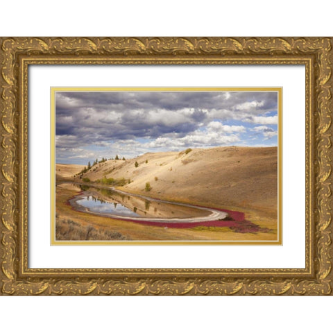 Canada, Kamloops, Lac Du Bois Grasslands Park Gold Ornate Wood Framed Art Print with Double Matting by Paulson, Don