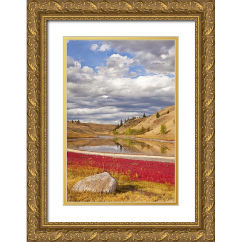 Canada, Kamloops, Lac Du Bois Grasslands Park Gold Ornate Wood Framed Art Print with Double Matting by Paulson, Don