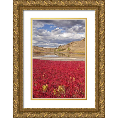 Canada, Kamloops, Lac Du Bois Grasslands Park Gold Ornate Wood Framed Art Print with Double Matting by Paulson, Don