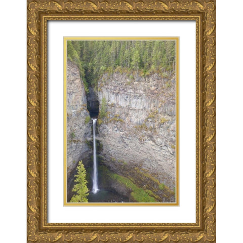 Canada, BC, Wells Gray PP Spahats Falls Gold Ornate Wood Framed Art Print with Double Matting by Paulson, Don